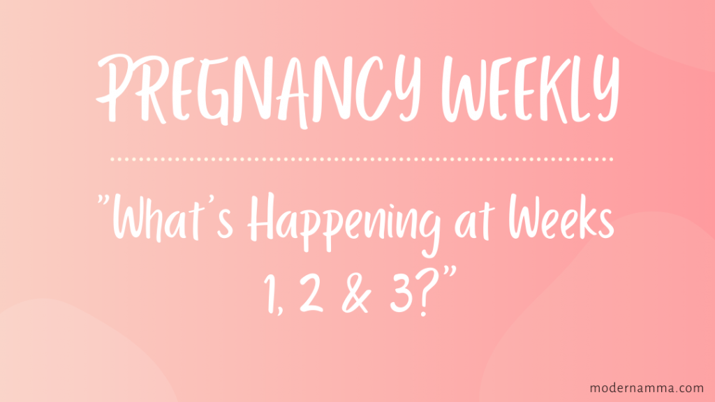 1-2-or-3-weeks-pregnant-what-do-these-weeks-mean-modern-amma